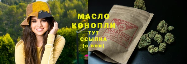 дмт Алексин