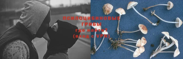 a pvp Алзамай