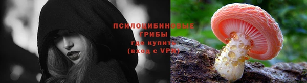 хмурый Алексеевка