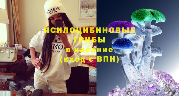 хмурый Алексеевка