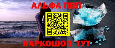 ешки Кингисепп
