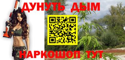 ешки Кингисепп