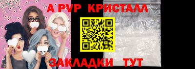 ешки Кингисепп