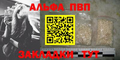 ешки Кингисепп