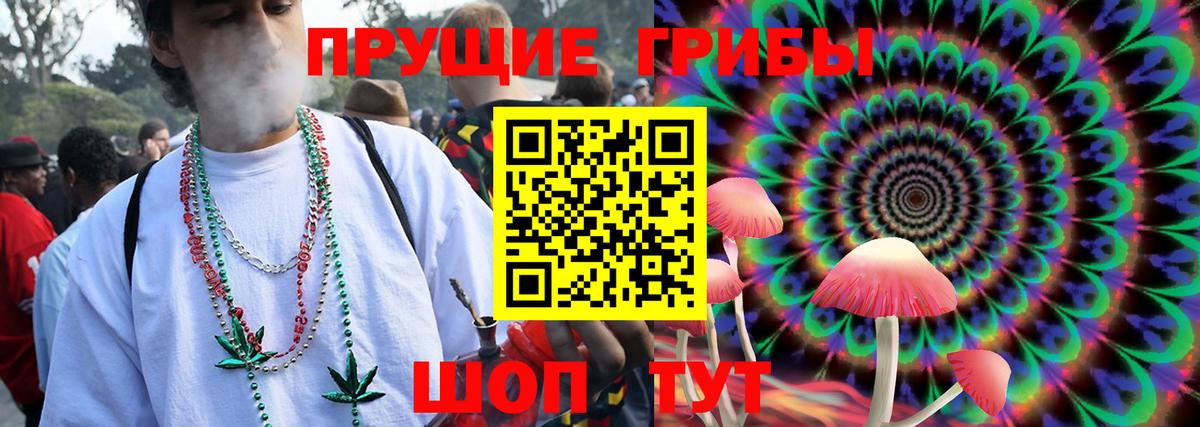 Псилоцибиновые грибы Psilocybine cubensis Киров