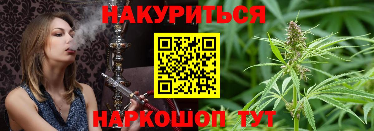 Бошки Шишки планчик Киров